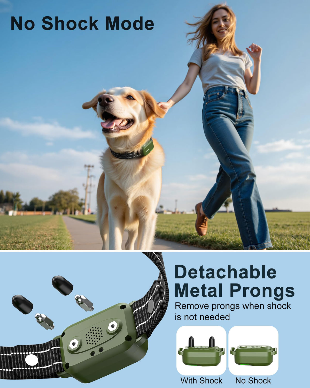 Dog Training Collar with Remote H1854