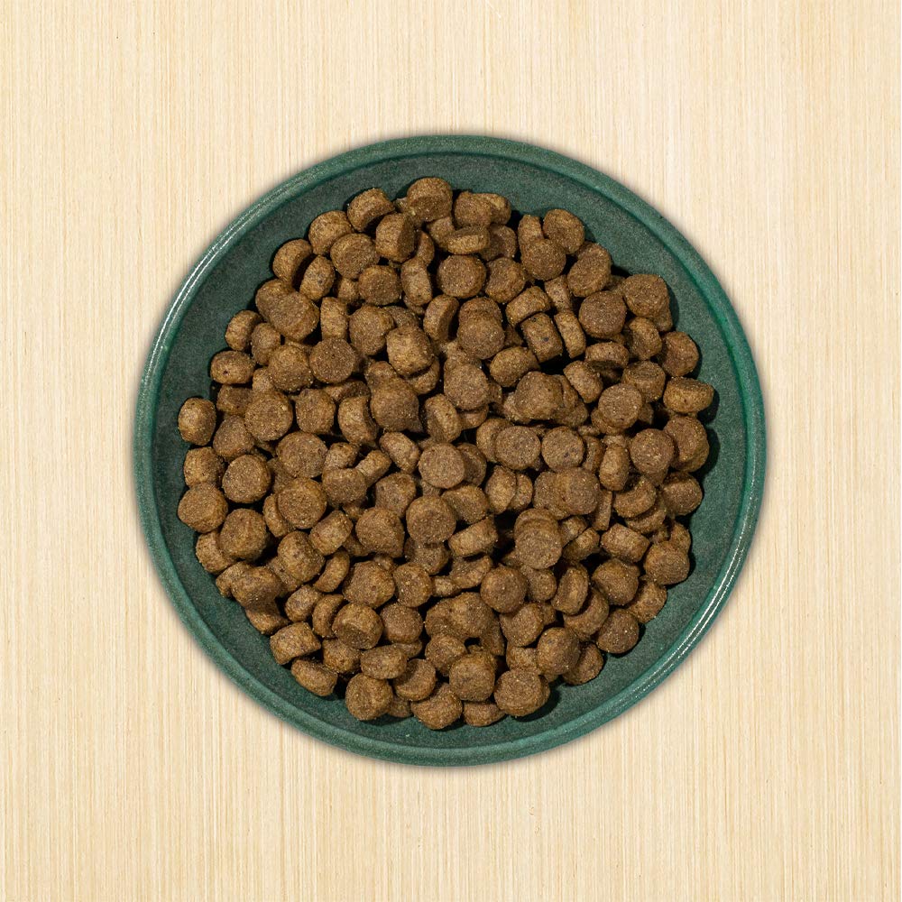 Dry Dog Food, 25% Protein Chicken & Brown Rice, 12-lb Bag C94427