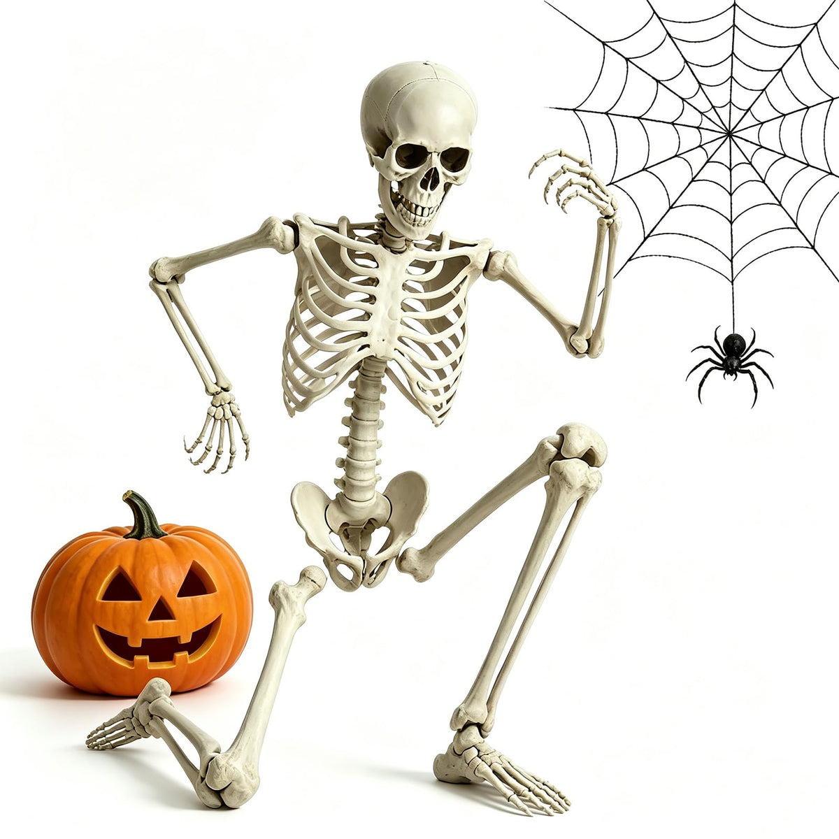 5.4FT Life Size Skeleton with Movable Joints P62390