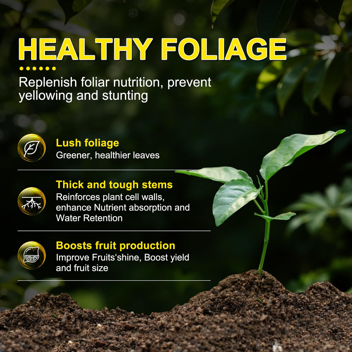 Liquid Fertilizer with Organic Micro-Nutrient J610564