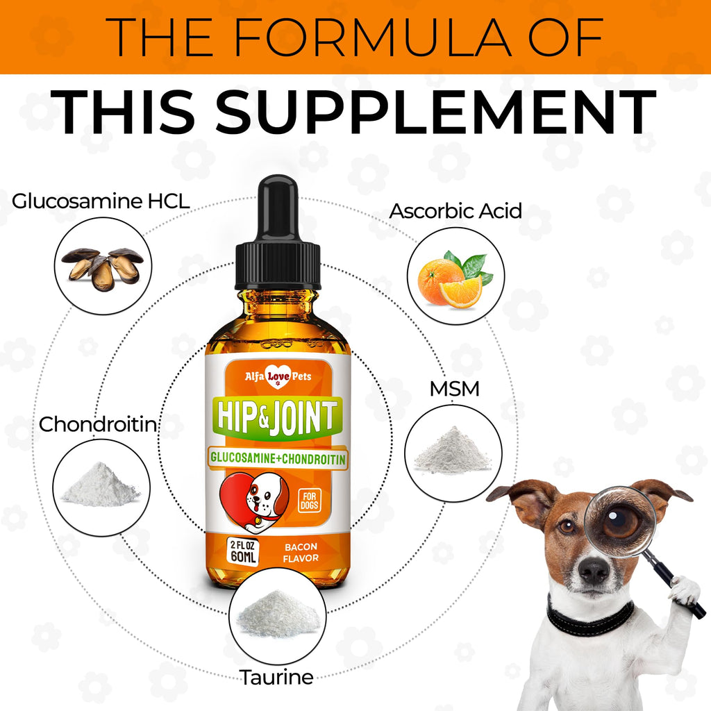 Liquid Glucosamine Chondroitin Dog Supplement 2 oz J6314