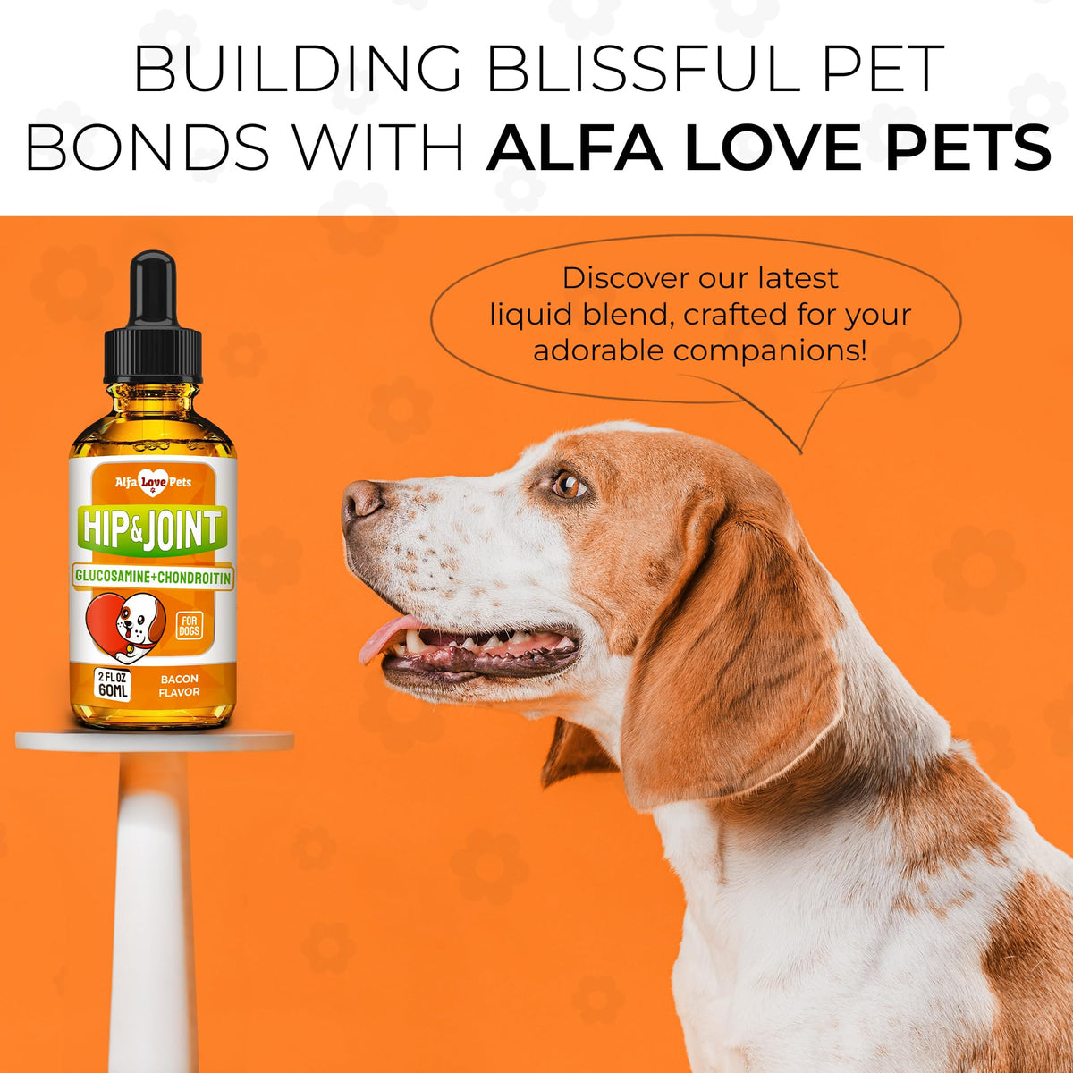 Liquid Glucosamine Chondroitin Dog Supplement 2 oz J6314