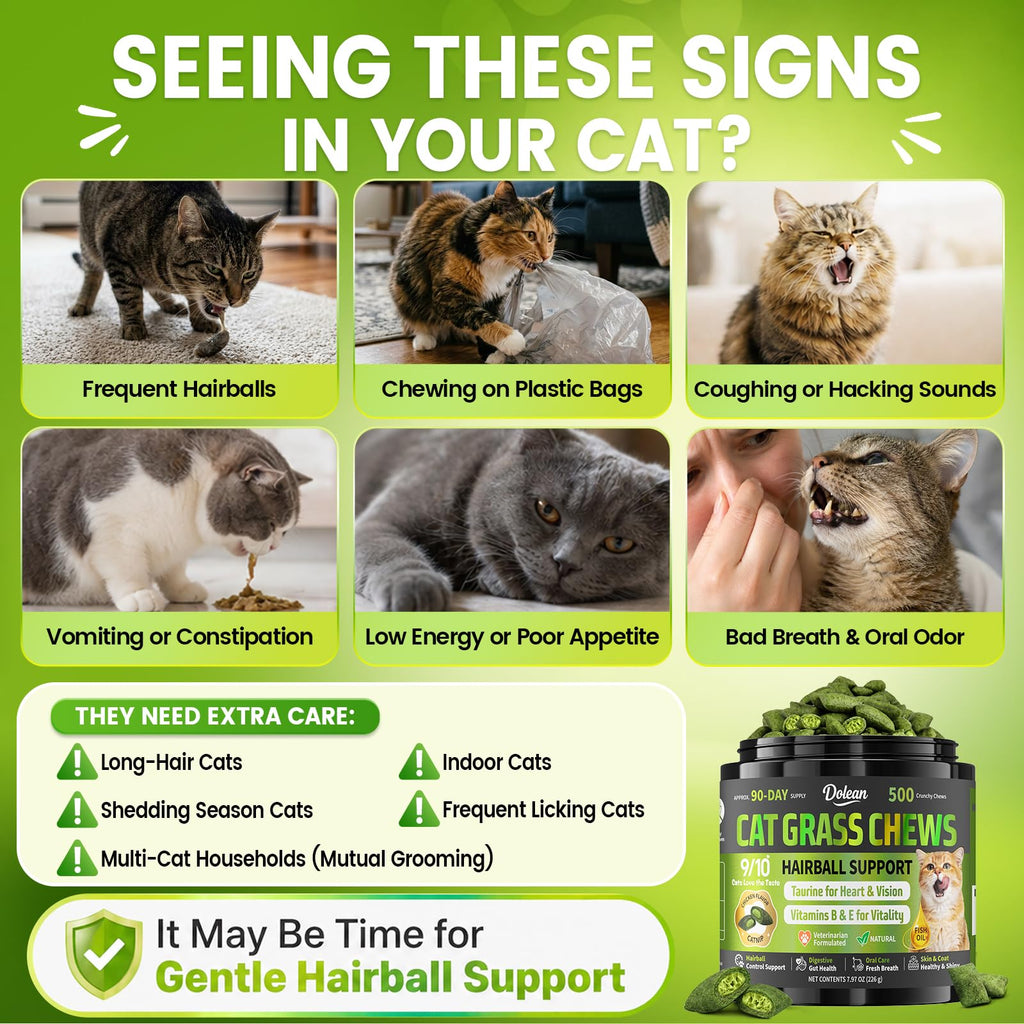 Cat Grass Treats Hairball Treatment for Cats H169