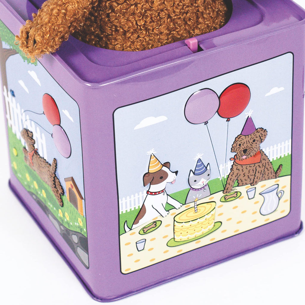 Birthday Puppy Jack-in-the-Box Toy P7879