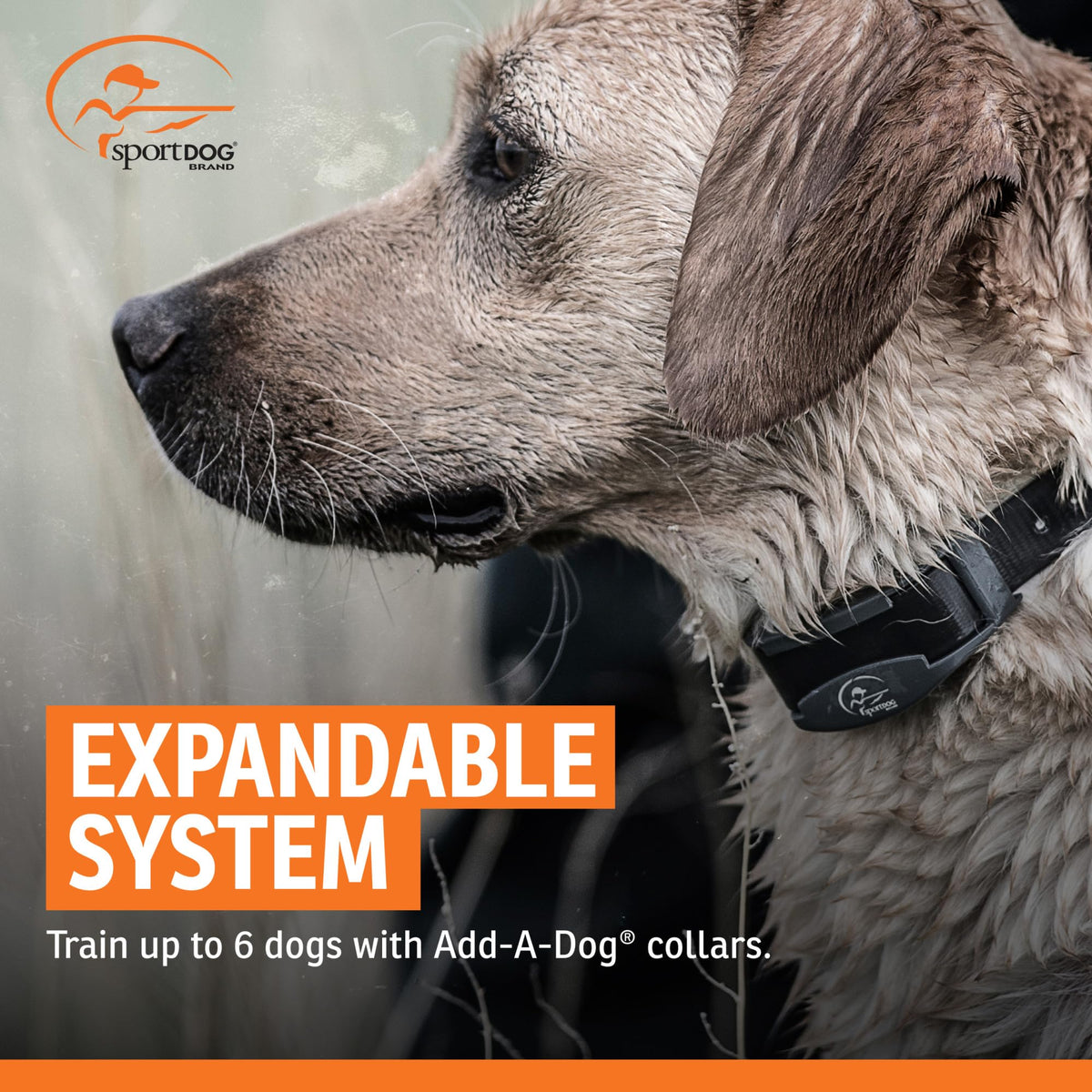 Add-A-Dog Waterproof Collar A79301