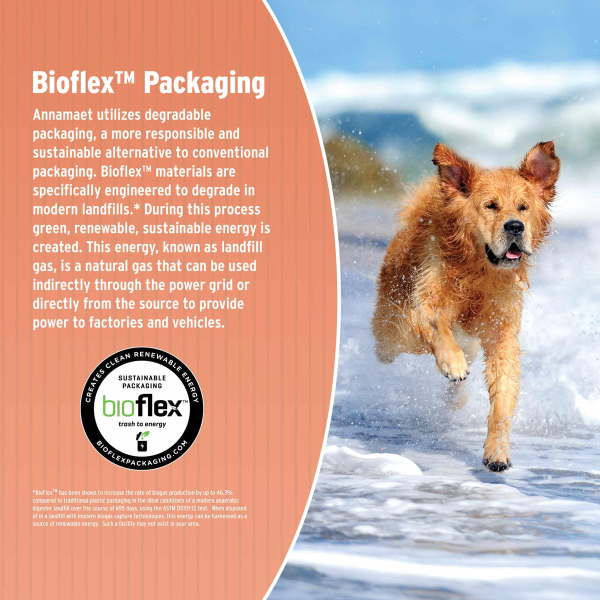 Dry Dog Food, 25% Protein Chicken & Brown Rice, 12-lb Bag C94427