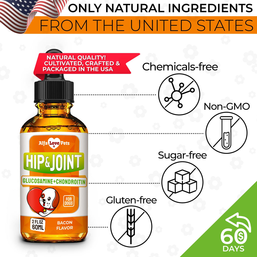 Liquid Glucosamine Chondroitin Dog Supplement 2 oz J6314