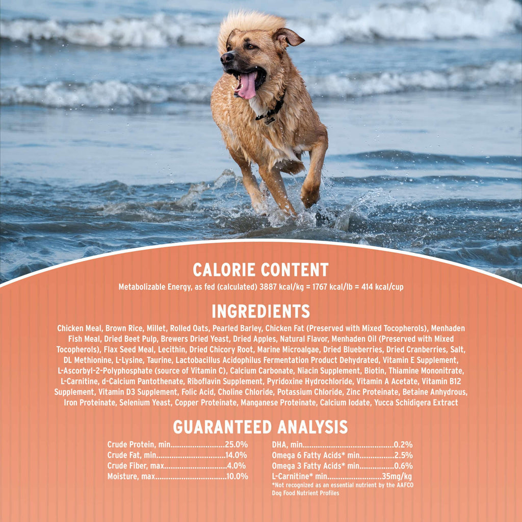 Dry Dog Food, 25% Protein Chicken & Brown Rice, 12-lb Bag C94427