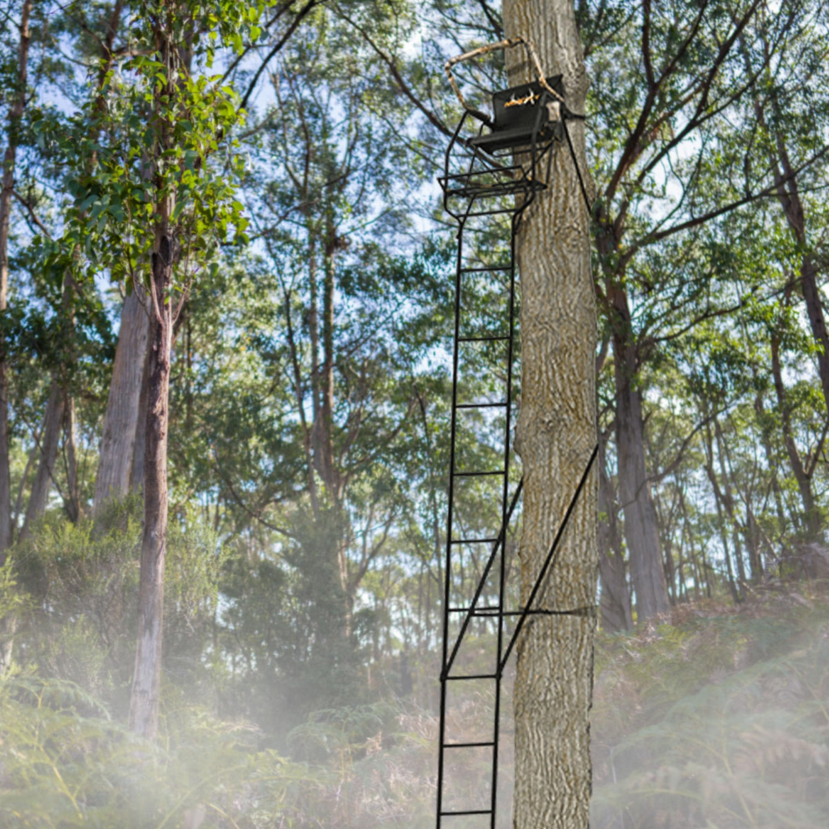 1 Person 21 Foot Climbing Tree Stand with Lumbar Seat J817140