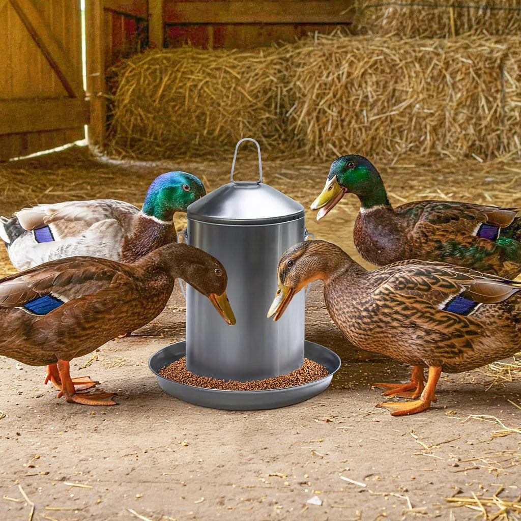 6.6 Lb Stainless Steel Hanging Poultry Feeder with 10 Gallon Storage Bucket Z134