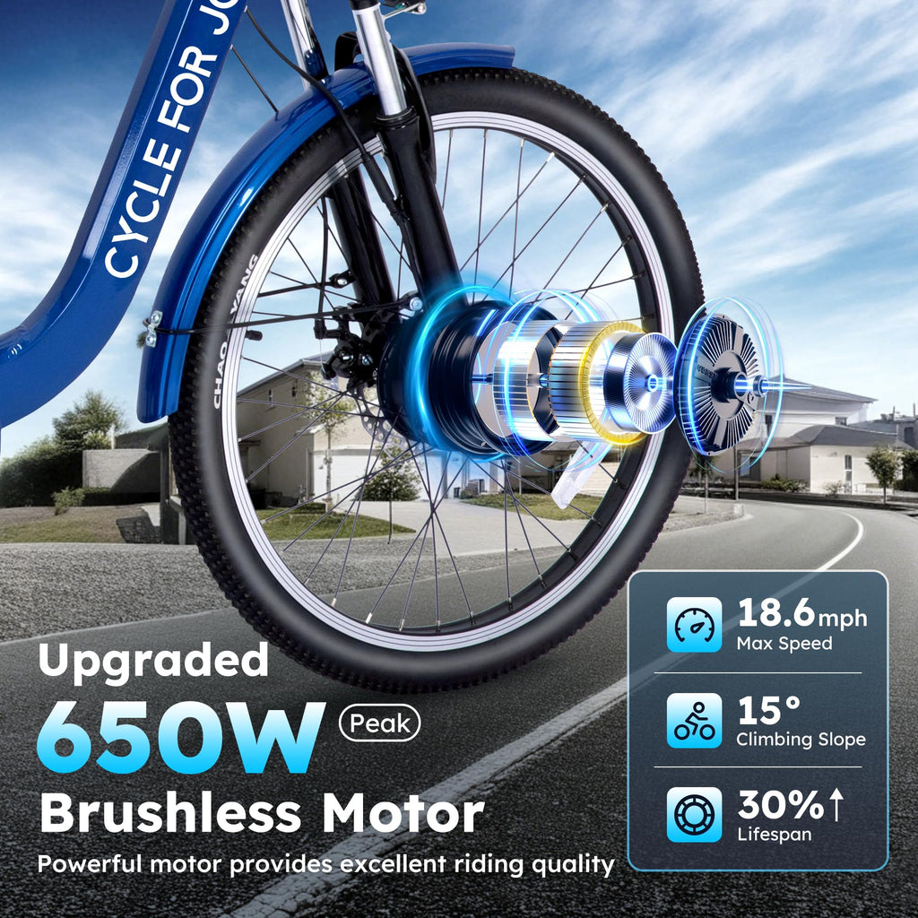 Electric Tricycle for Adults O95037