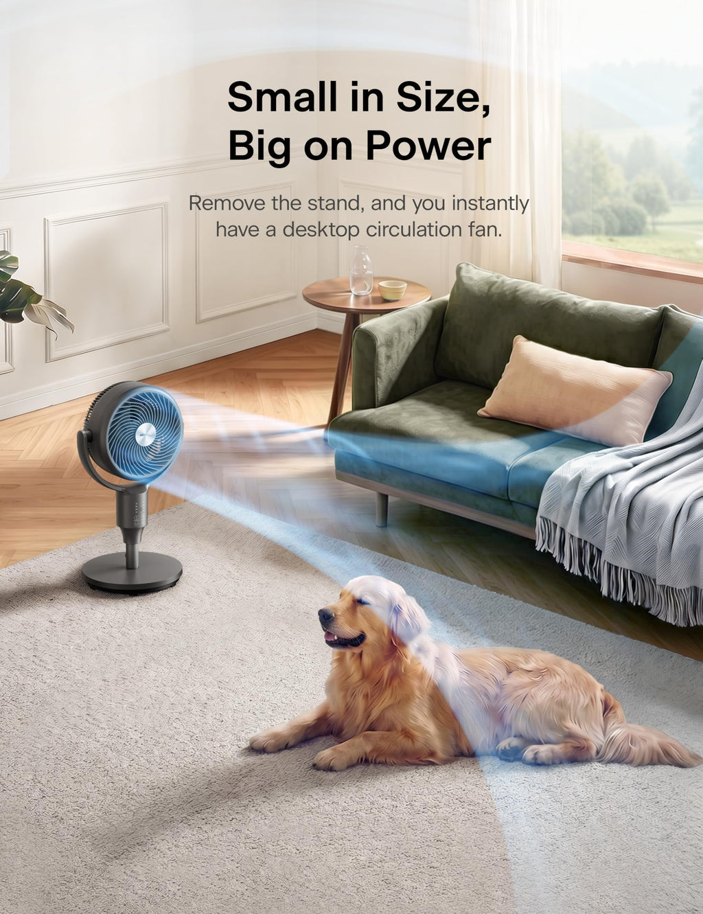 Grey Air Circulator Fan with Remote F2693