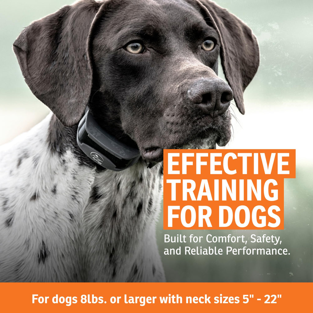 Add-A-Dog Waterproof Collar A79301