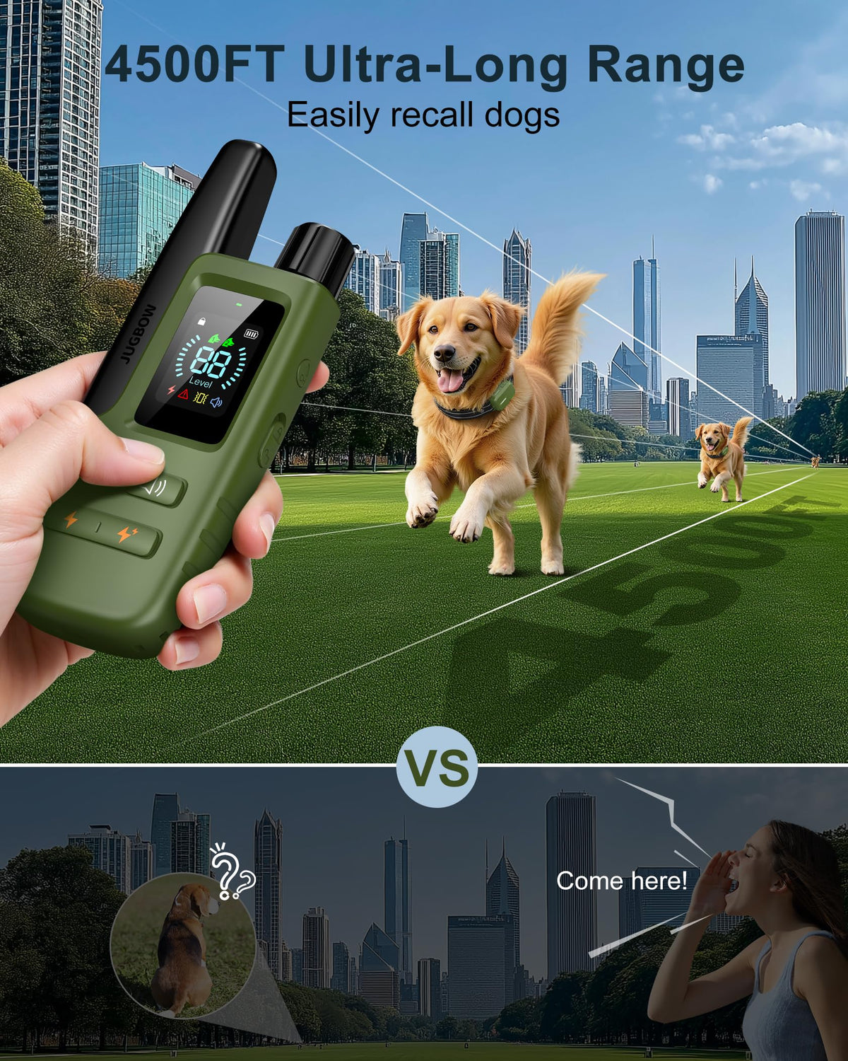 Dog Training Collar with Remote H1854