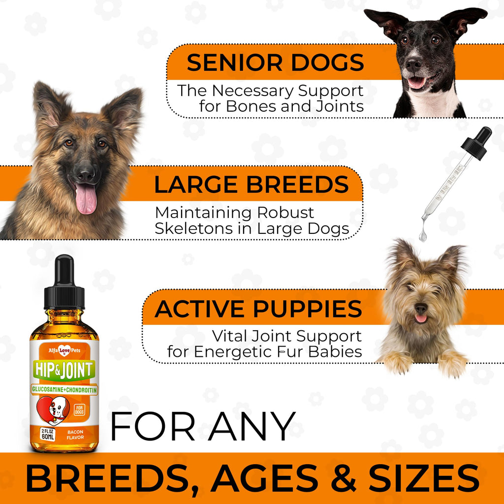 Liquid Glucosamine Chondroitin Dog Supplement 2 oz J6314