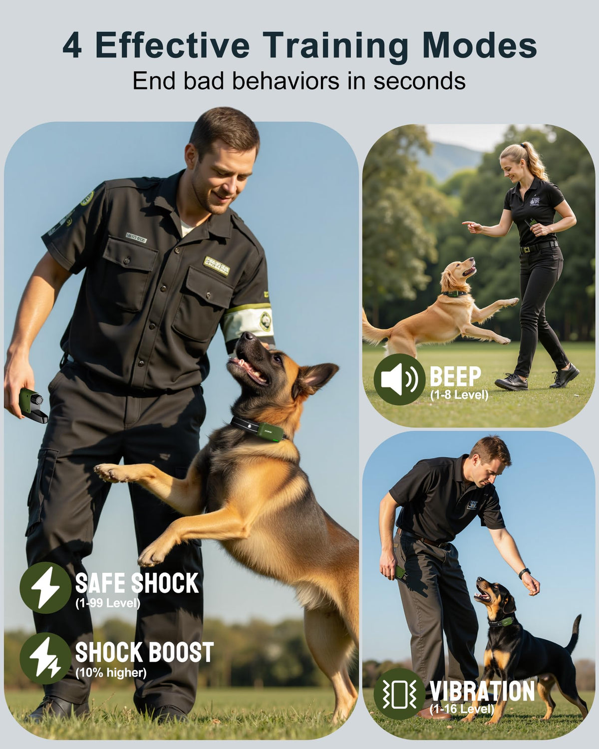 Dog Training Collar with Remote H1854