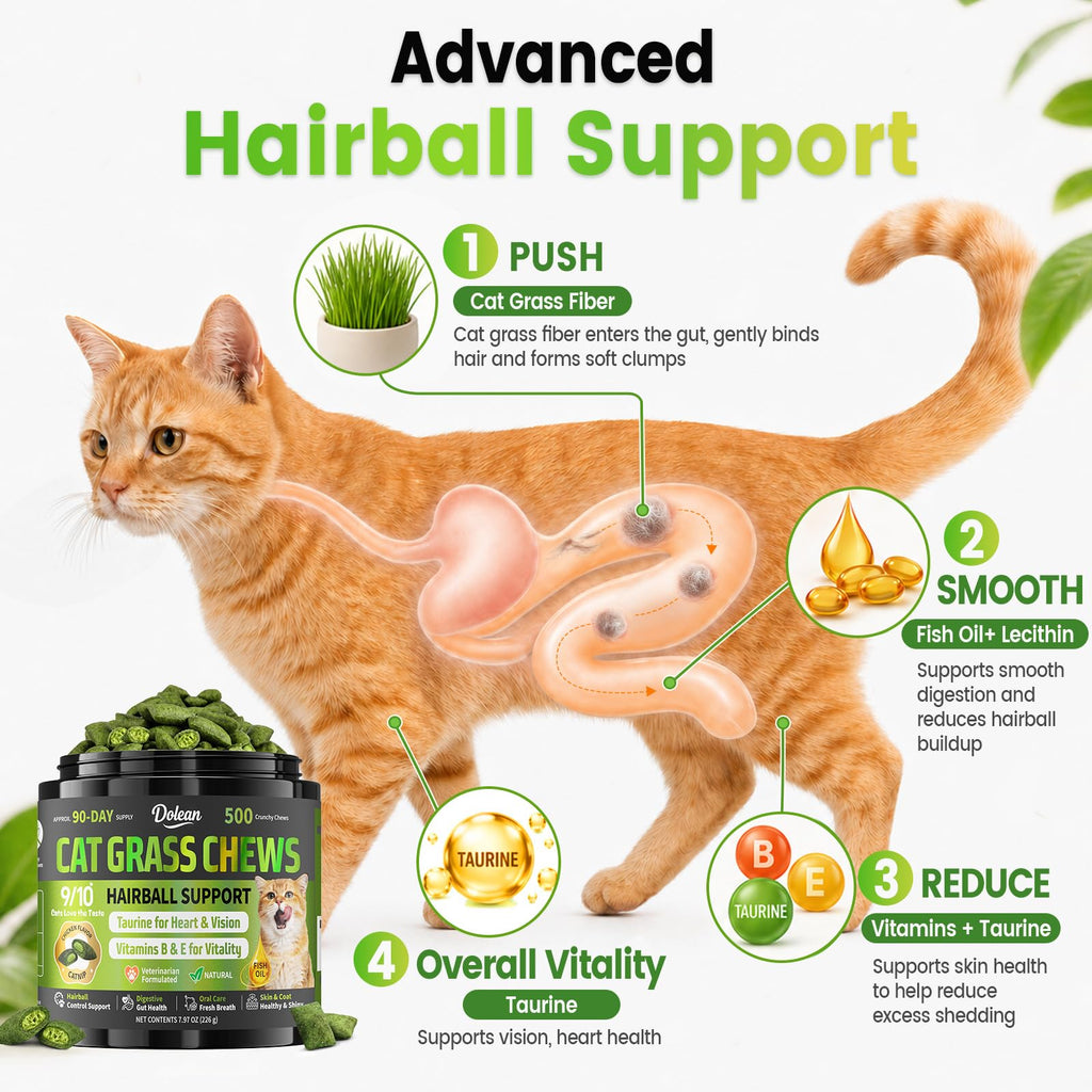 Cat Grass Treats Hairball Treatment for Cats H169