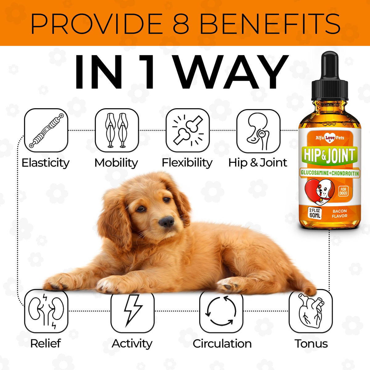 Liquid Glucosamine Chondroitin Dog Supplement 2 oz J6314