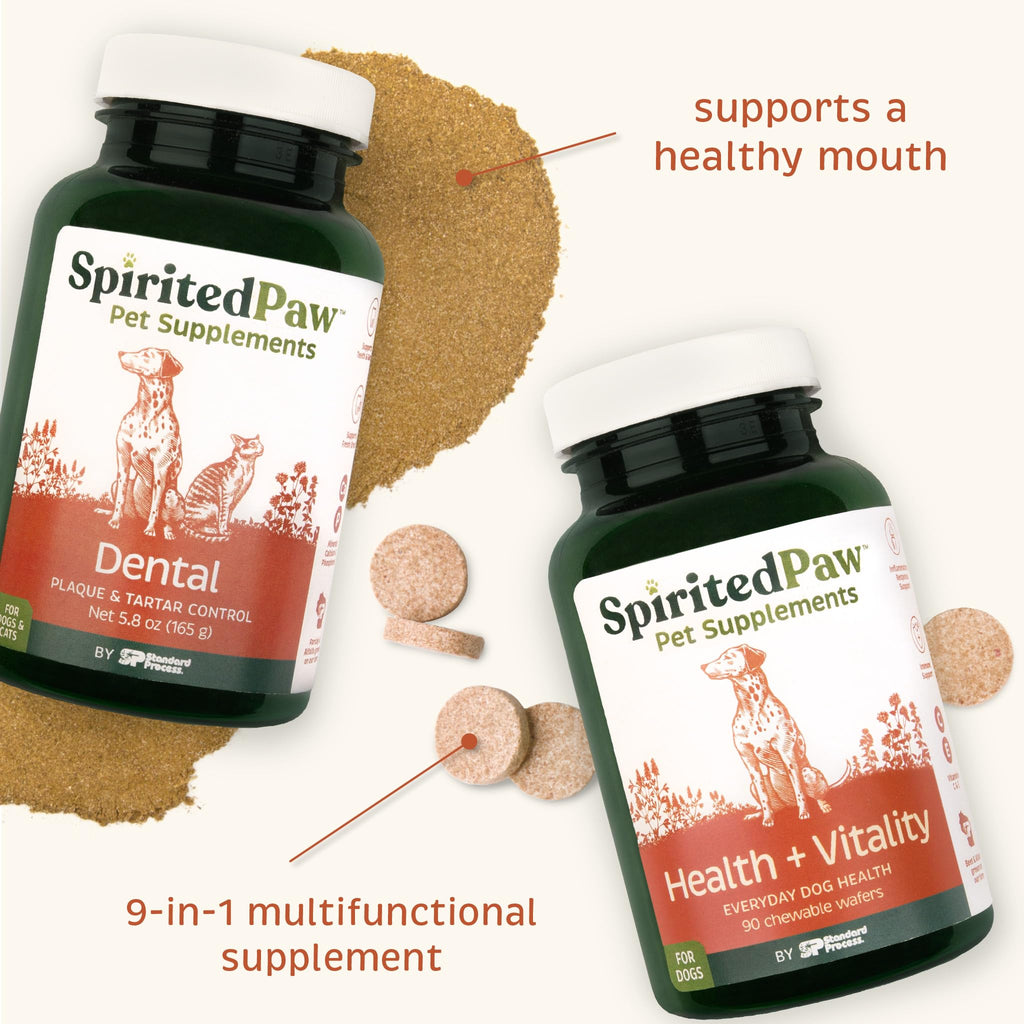 Pet Health Bundle - Dental & Multifunctional Support for Dogs - 165 g Powder & 90 Wafers E122