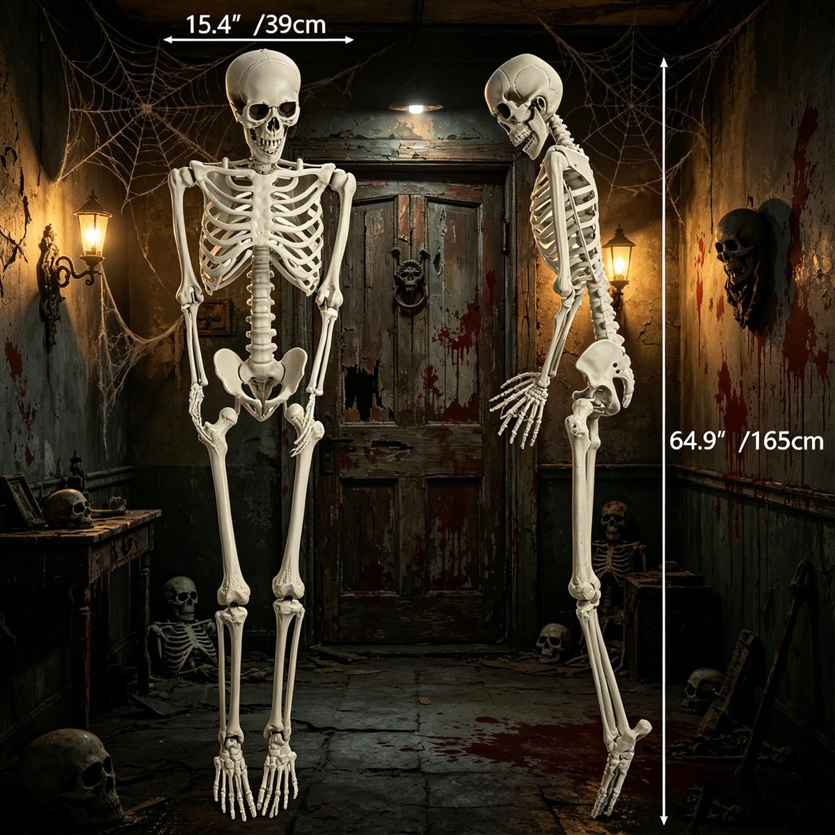 5.4FT Life Size Skeleton with Movable Joints P62390