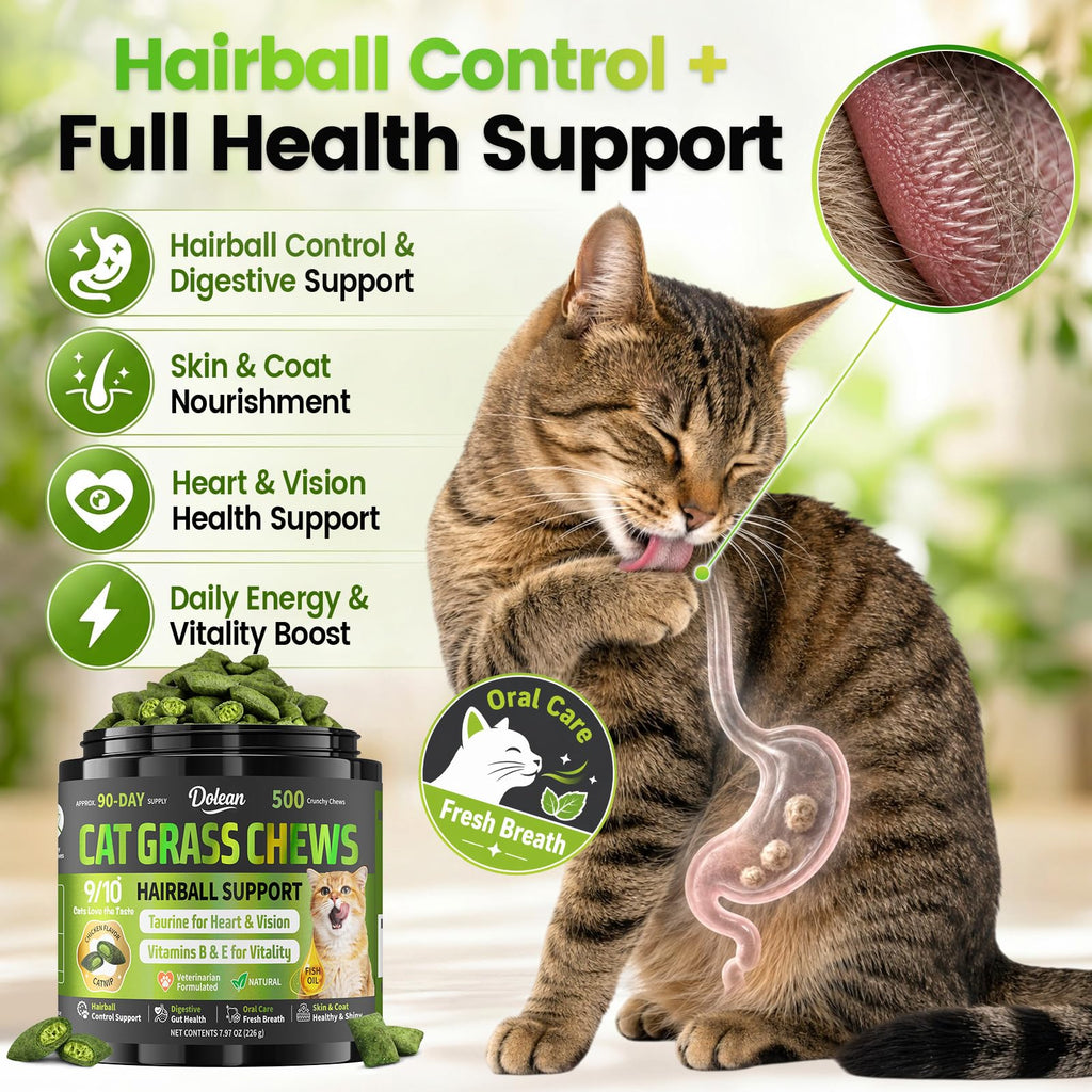 Cat Grass Treats Hairball Treatment for Cats H169