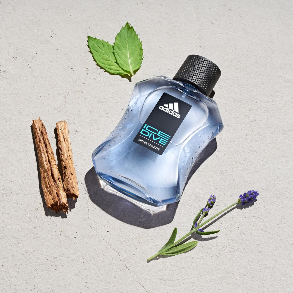 Eau de Toilette 3.3 fl oz Lavender Sandalwood Vanilla Men's Fragrance Y8969