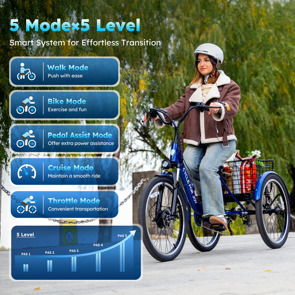 Electric Tricycle for Adults O95037